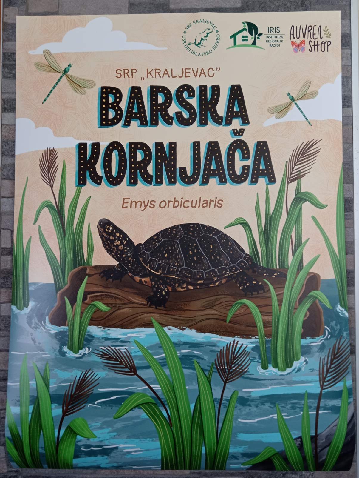 dqankor